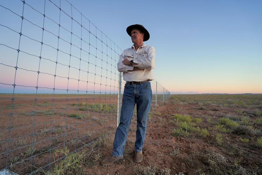 Man in hat standing at fence with sunset