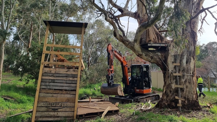 An excavator in between a 3-metre wooden palate structure and a tree with a wooden platform and ladderse