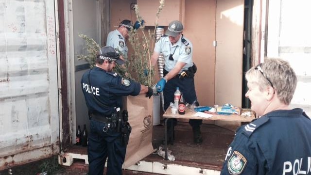 Police holding green plant in storage container