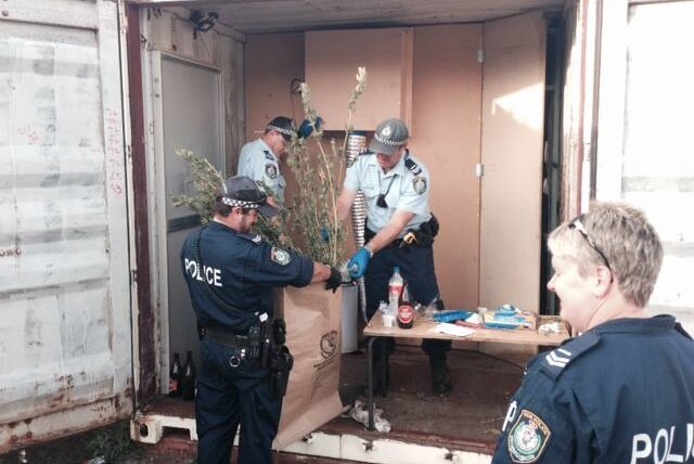 Police holding green plant in storage container