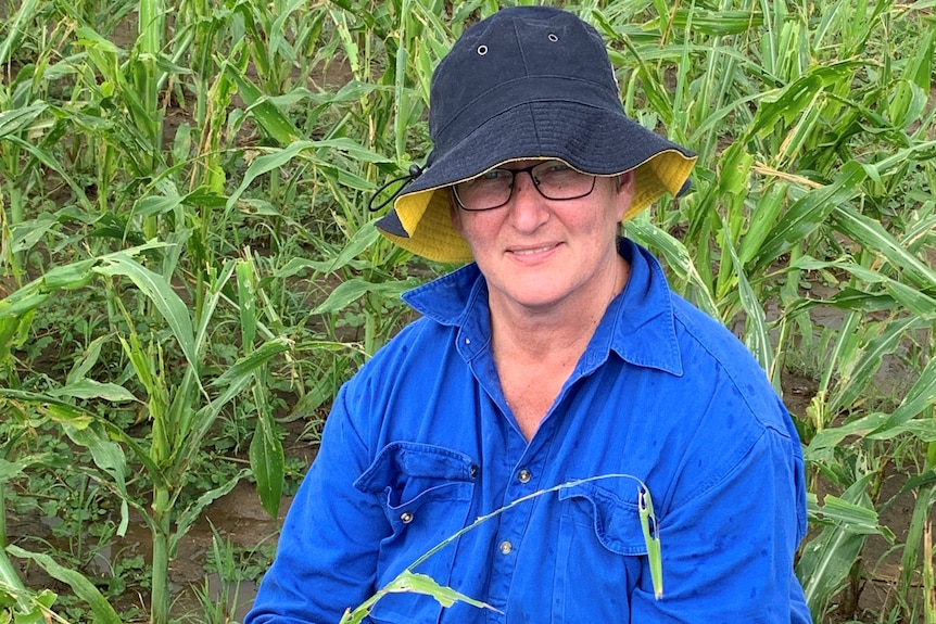 A lady wearing a hat crouches in a field of corn with chewed leaves.