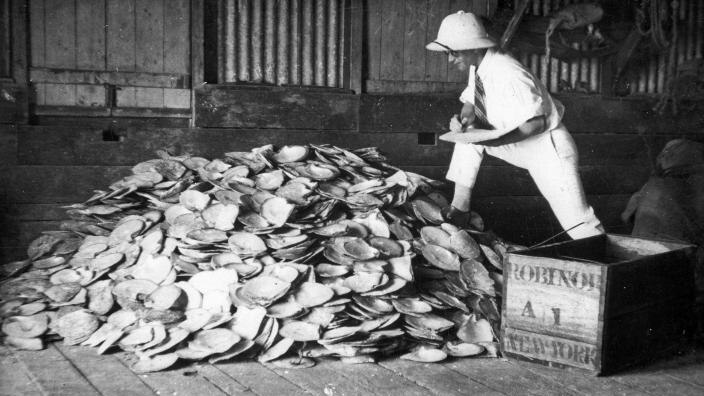 A Broome pearler inspects a pile of pearlshell