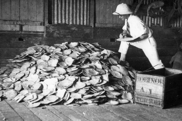 A Broome pearler inspects a pile of pearlshell