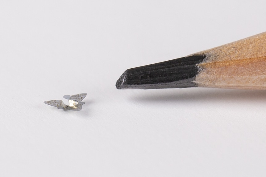 La punta de un lápiz junto a un pequeño dispositivo.