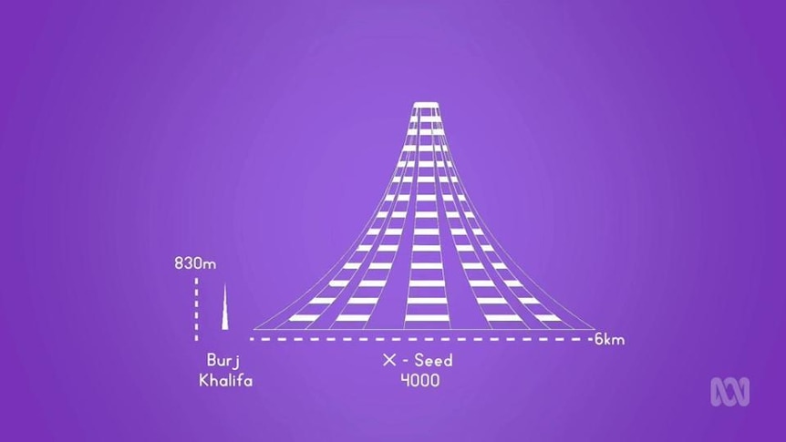 Diagram of pyramid shaped building
