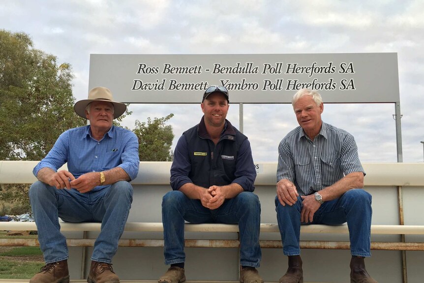 David, Andrew and Ross Bennett (l to r) sit in the newly named stand at the Alice Springs showground.