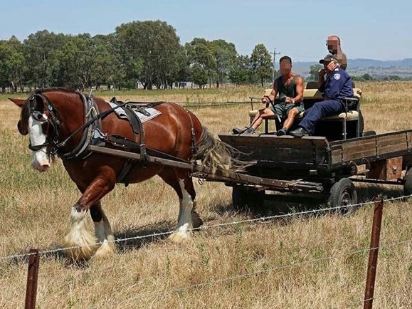 St Heliers Correctional Centre farm