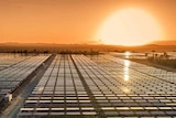 Solar farm in southern Queensland with glowing sunset.