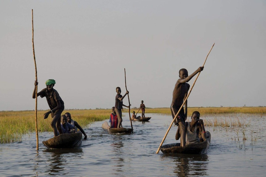 Boys in canoes using sticks for paddles float on swamp water in South Sudan.