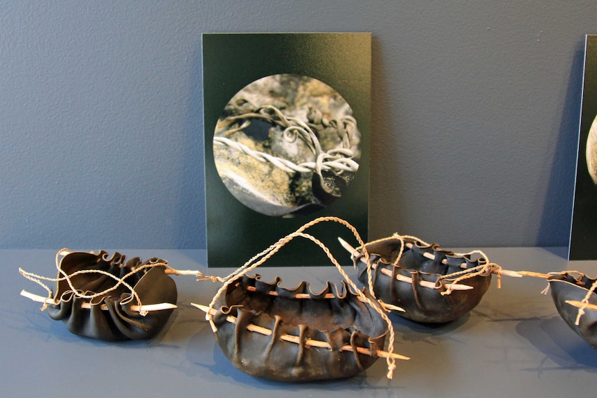 Kelp baskets