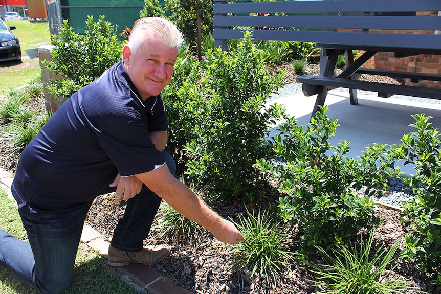 Dave Taylor kneeling next to a garden bed beside green lilly pilly plants.