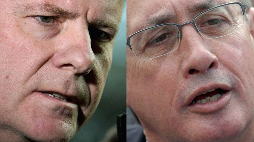 Peter Costello and Wayne Swan