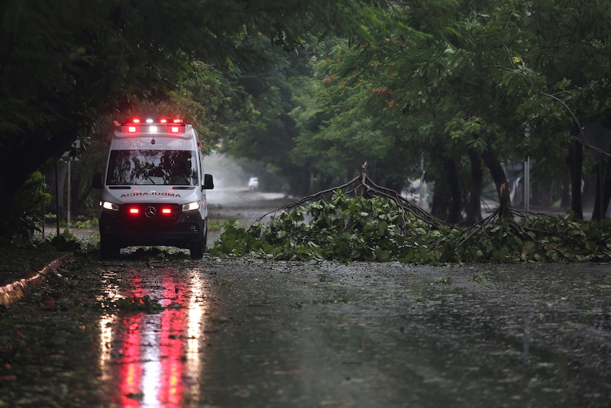 飓风格蕾丝袭击后，一辆救护车在倒下的树枝附近经过
