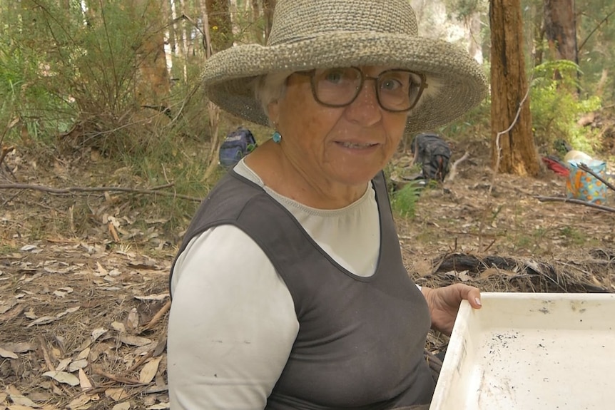 Woman in the forest wearing wide brim hat holding white pan searching for unique plants and insects