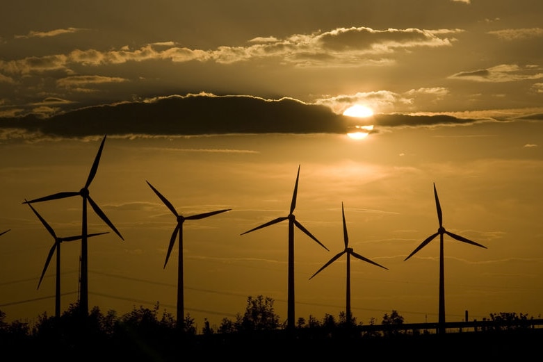 A wind farm silhouetted by the low sun.