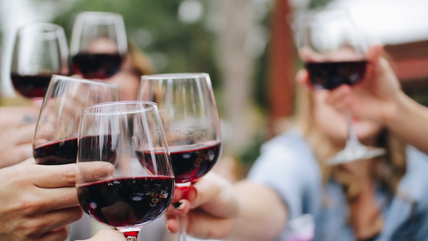 A group of people clink glasses filled with red wine