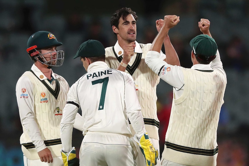 Mitchell Starc smiles as three other players congregate around him, with one raising his clenched fists