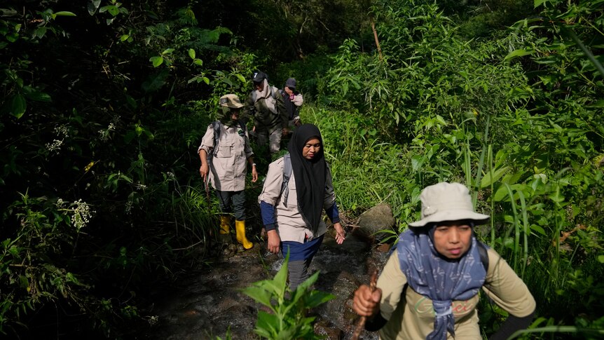 Rangers walk along a stream during a forest patrol in Damaran Baru, Aceh province, Indonesia.
