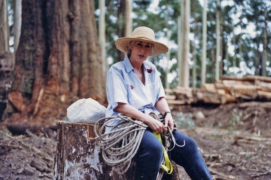 A woman in a straw hat holds ropes in a logging coupe.