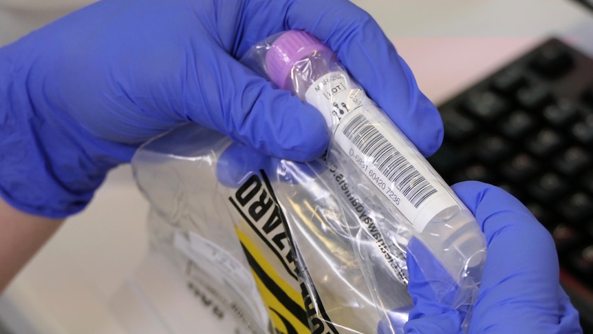 A close-up photograph of gloved hands holding a biohazard bag with a COVID swab inside.