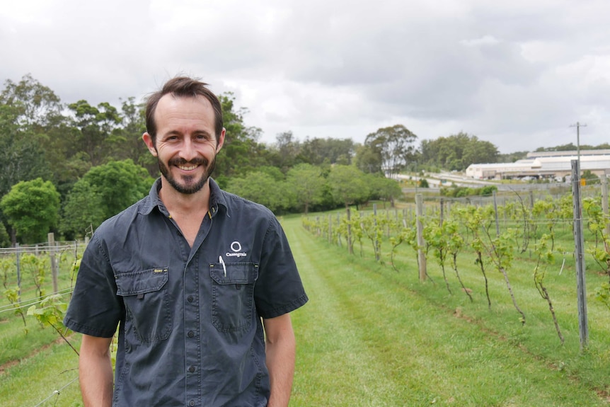 A man smiling and standing in frontage of green grape vines.