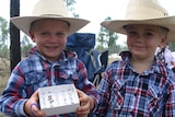 two boys in cowboy hats holding at ray of ants