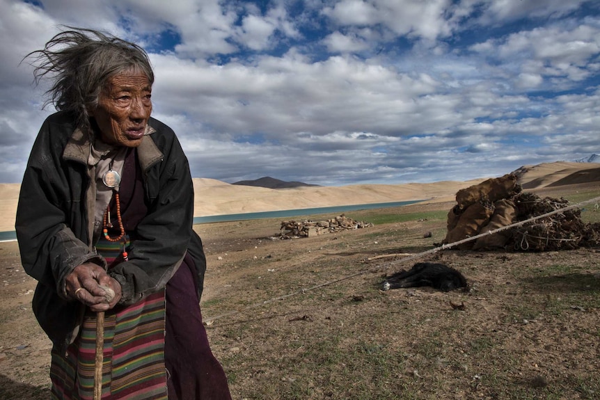 Tibetans
