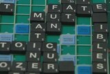Aussie Scrabble champ goes down to New Zealander