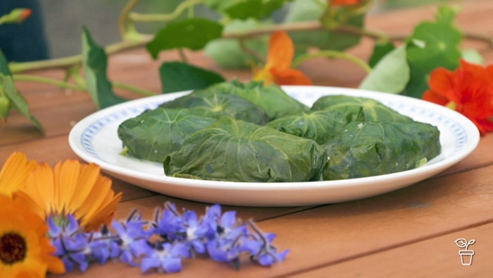 Plate with food wrapped in leaves with flower garnishes around the plate
