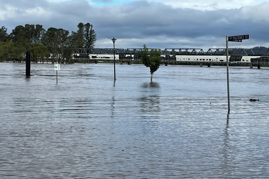 street sign, light post and trees submerged in flood waters, bridge in the distance