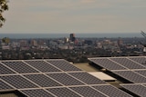 Solar panels on a roof overlooking Adelaide.
