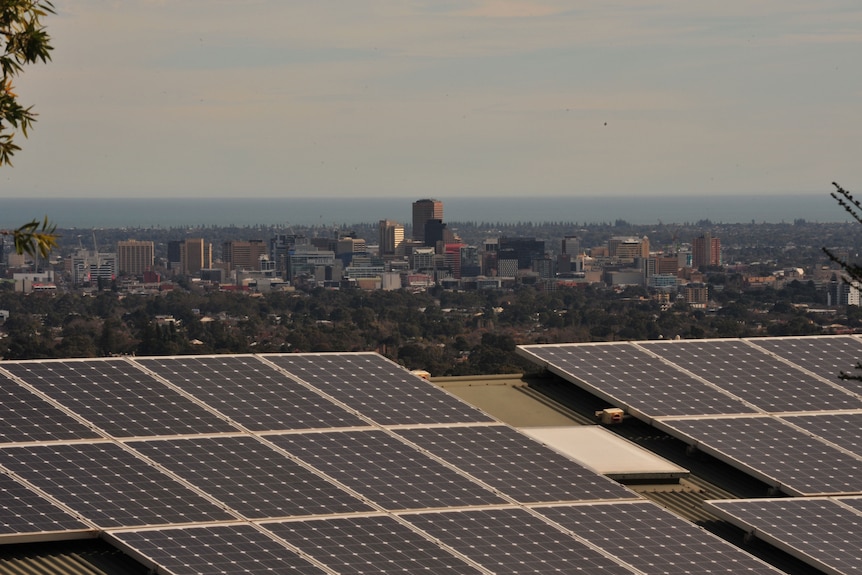 Solar panels on a roof overlooking Adelaide.