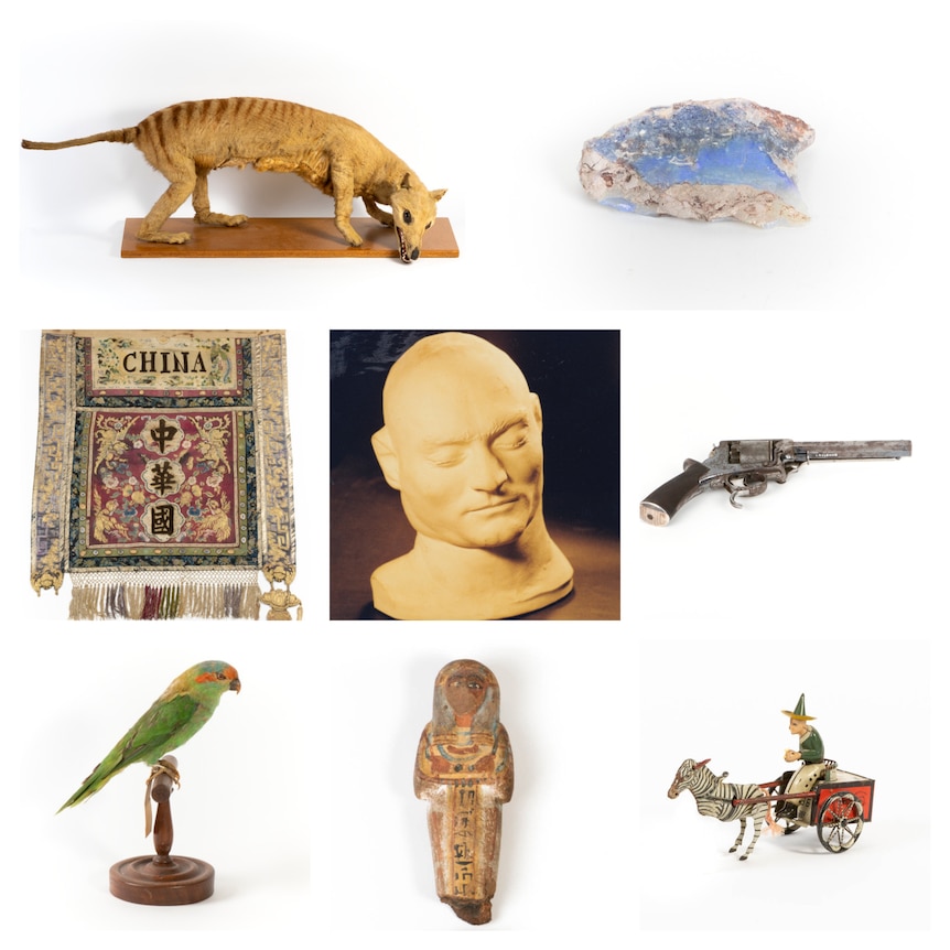 A collation of images of objects including taxidermied thylacine and lorikeet, a piece of precious opal, Ned Kelly's death mask