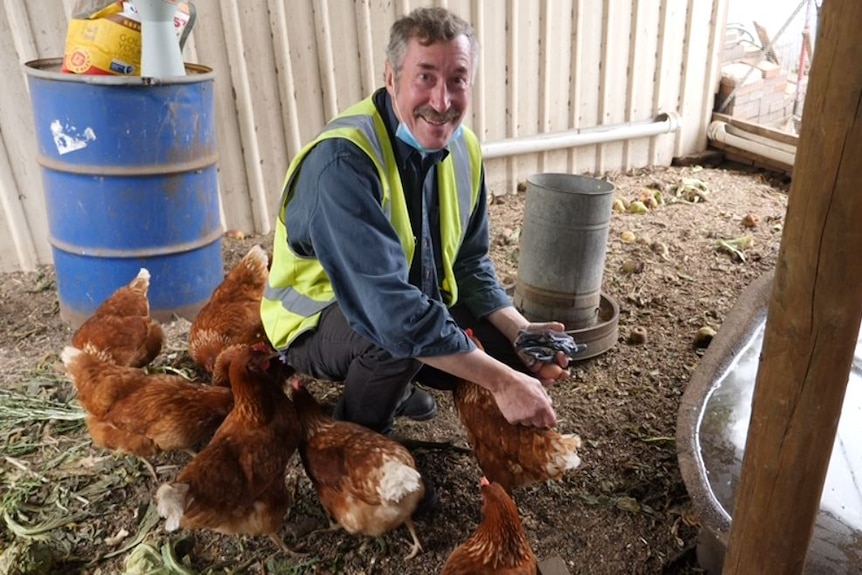 Man kneeling down with chooks in front of him