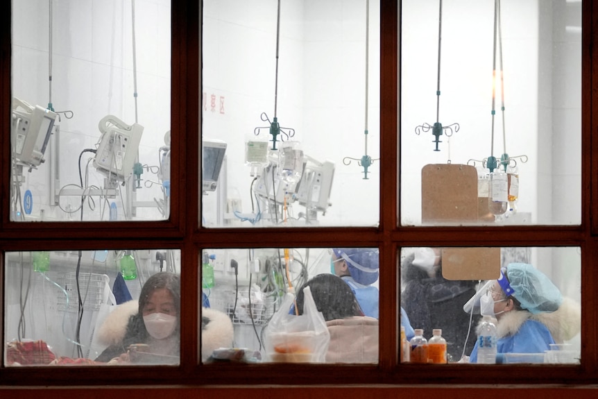 People seen inside a hospital through window.