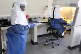 Doctors work in a laboratory on collected samples of the Ebola virus at the Centre for Disease Control in Entebbe, about 37 km southwest of Uganda's capital Kampala, August 2, 2012.