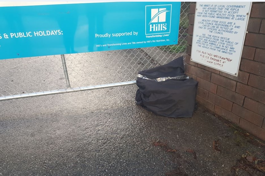 A bag left abandoned with a cat inside in Adelaide.