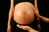 An employee applies massage oil on the bare belly of a pregnant client before a photo shoot.