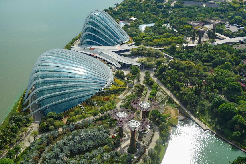 An aerial view of Singapore's futurist buildings and lush green gardens.