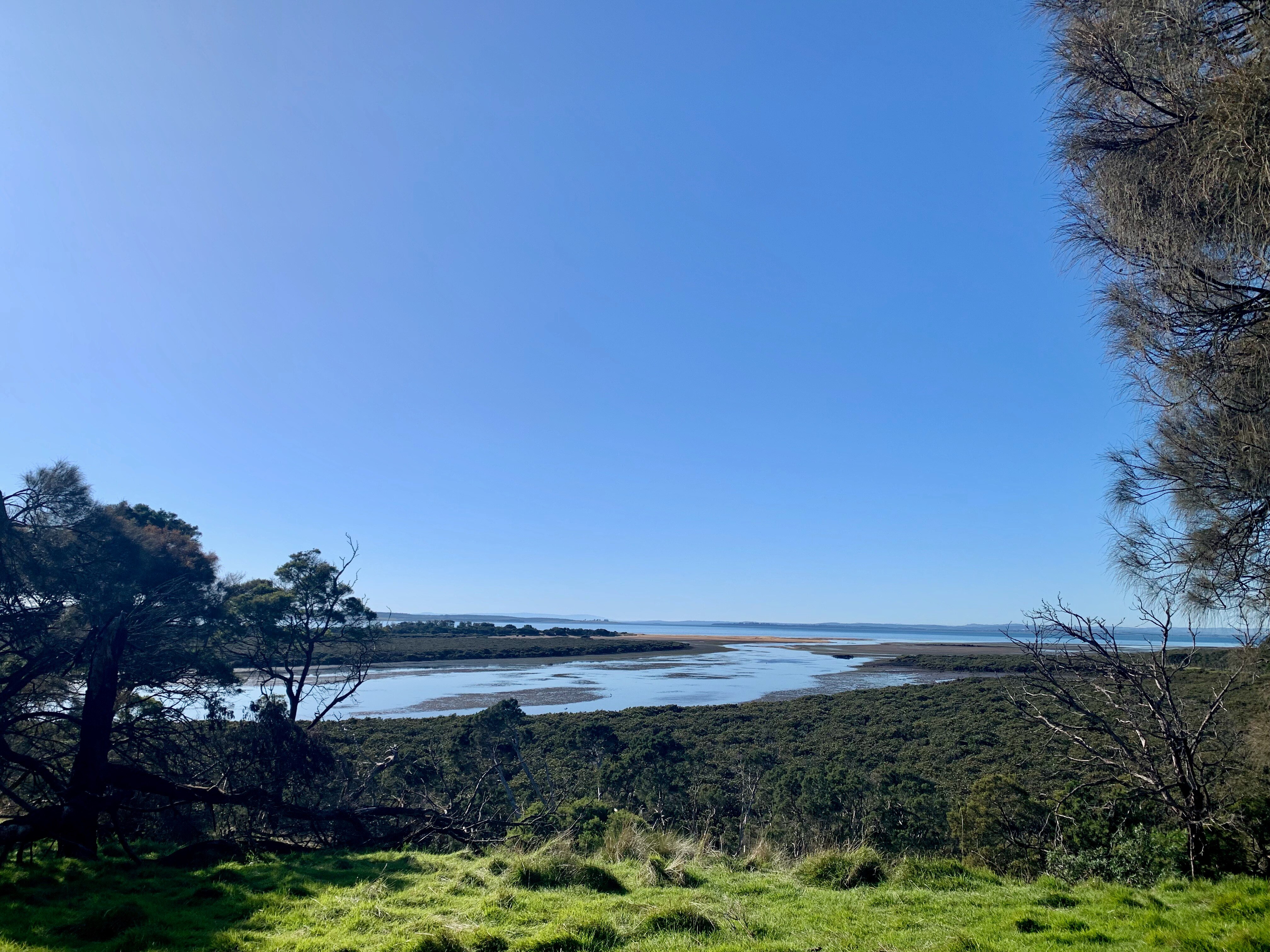 A shallow bay surrounded by low saltmarsh or mangrove type vegetation. Huge blue sky