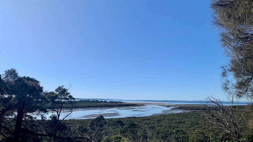 A shallow bay surrounded by low saltmarsh or mangrove type vegetation. Huge blue sky