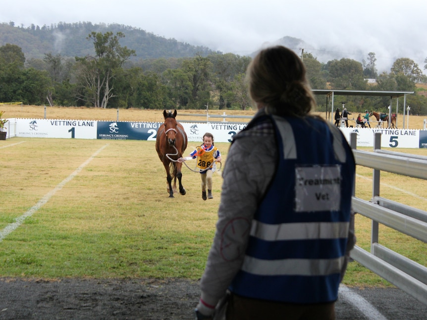 Small girl leading her horse on a paddock while a vet looks on.