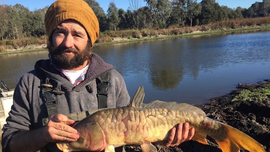 Fisherman John Ingram holding a carp at Sale wetland