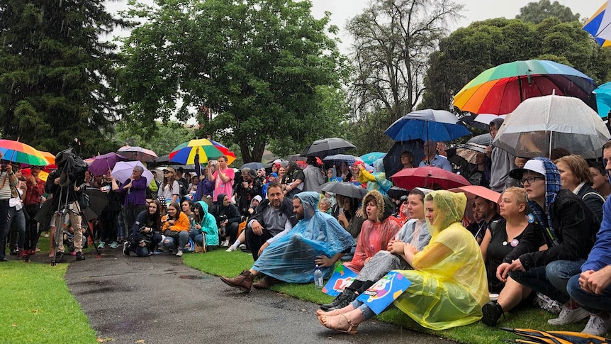 People gather in the rain under the cover of umbrellas and ponchos to hear the results of the same sex marriage survey