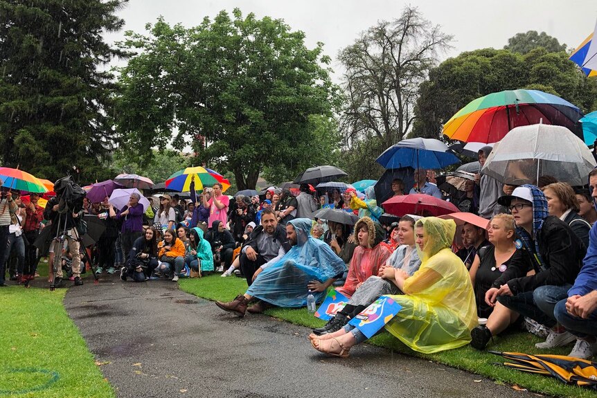 People gather in the rain under the cover of umbrellas and ponchos to hear the results of the same sex marriage survey