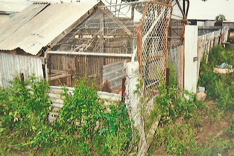 A cage found in the backyard of a South Australian couple charged with abusing children.