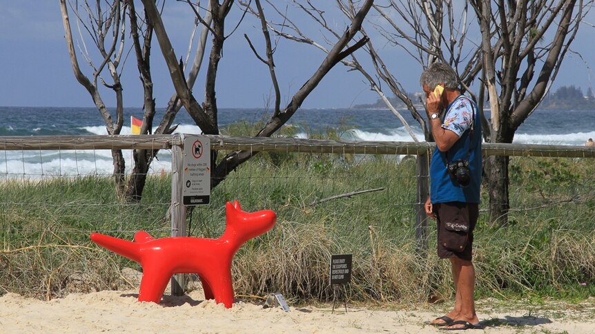 A red dog relives itself on fence at Swell Sculpture Festival, Gold Coast