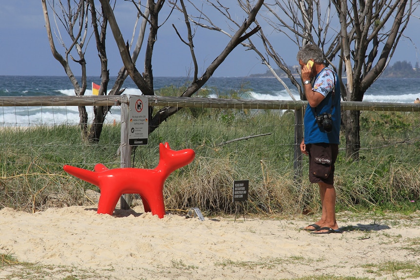 A red dog relives itself on fence at Swell Sculpture Festival, Gold Coast