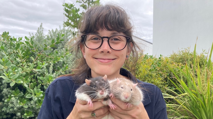 A woman holding some rats.