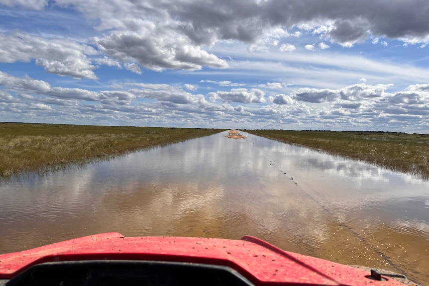 A view of a flooded paddock from the drivers seat of a tractor.